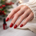 Christmas · Special Edition