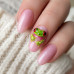 Frogs · Luxe Plus