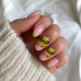 Frogs · Luxe Plus