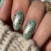 Mint Chocolate Chip · Luxe