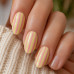 Stripes · Classic