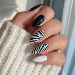 Zebra · Classic
