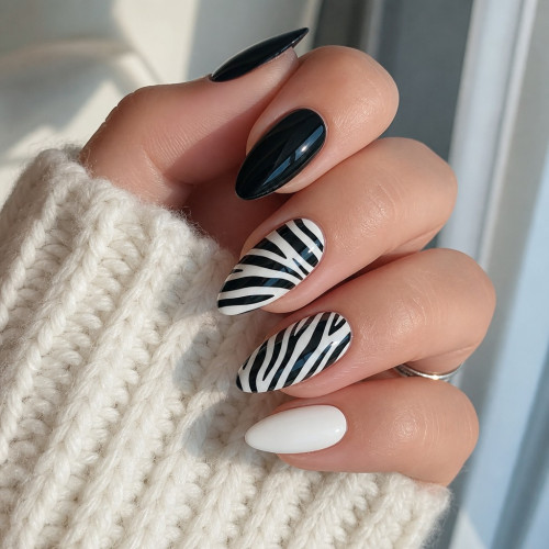 Zebra · Classic