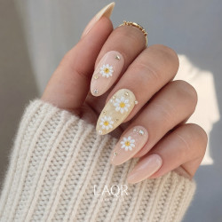 Daisies · Luxe Plus